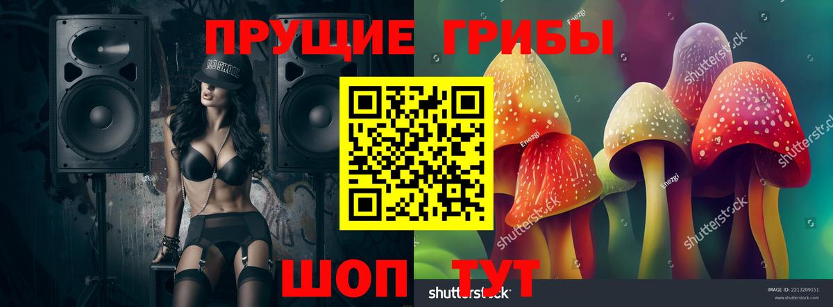 Гусь-Хрустальный  Псилоцибиновые грибы Magic Shrooms  Вход с VPN 